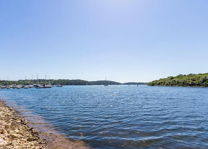 Buic Apartman Vinkuran